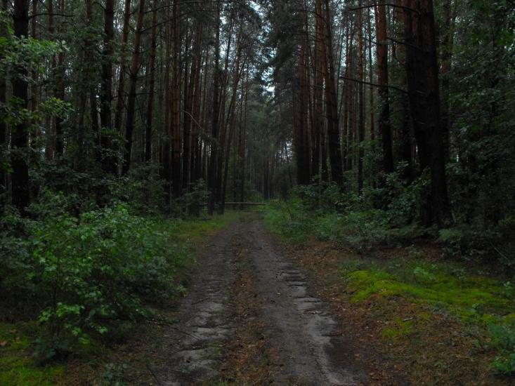 Щербатівка з panoramio.com - Щербатівка