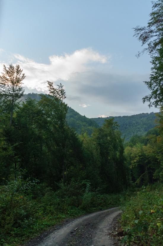 Кострина з panoramio.com - Кострина