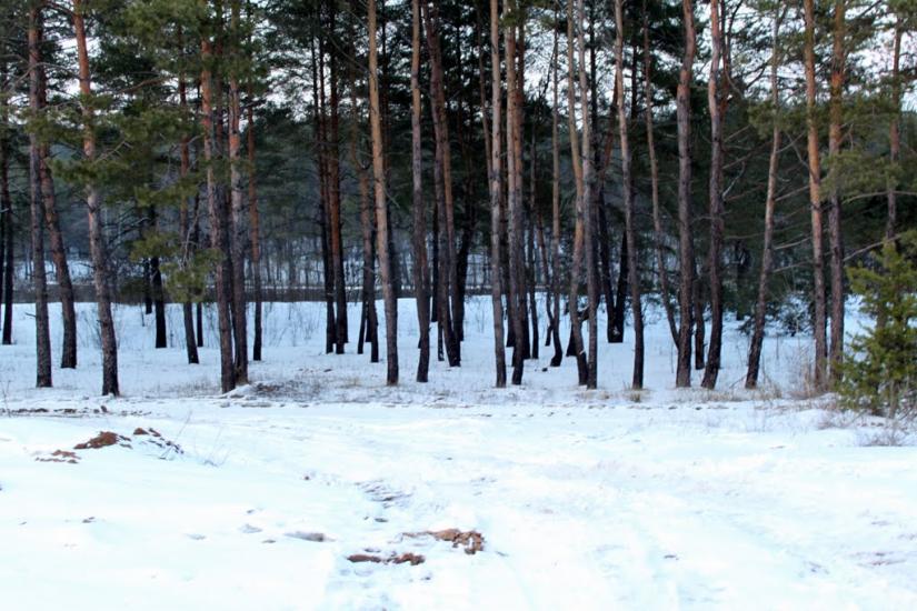 Гусина Поляна з panoramio.com - Гусина Поляна