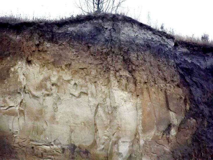 Колоденка з panoramio.com - Колоденка