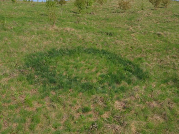 Кунка з panoramio.com - Кунка