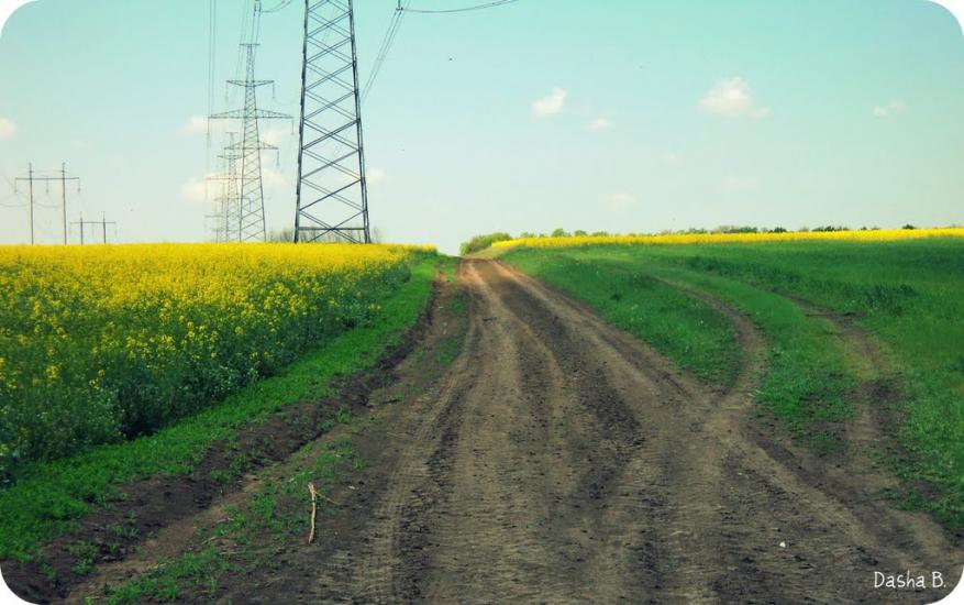 Дачне з panoramio.com - Дачне