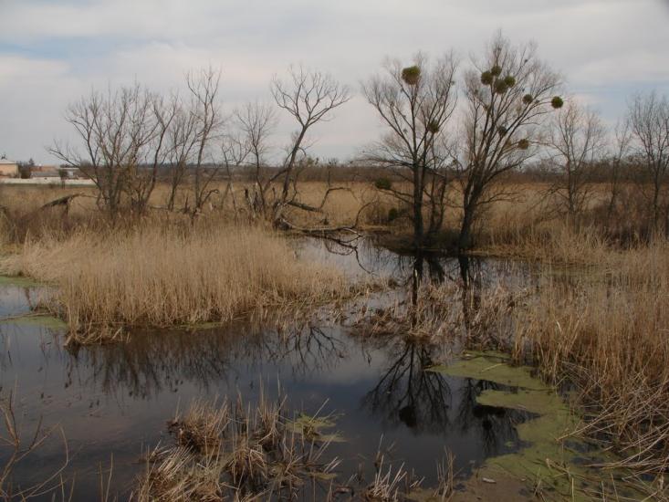 Дмитрівка з panoramio.com - Дмитровка