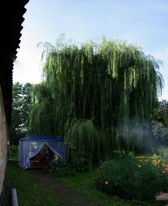 Клавдієво-Тарасове з panoramio.com - Klavdiyevo-Tarasove