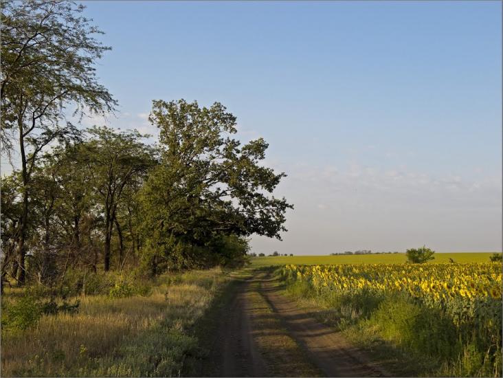 Авдотівка з panoramio.com - Авдотівка