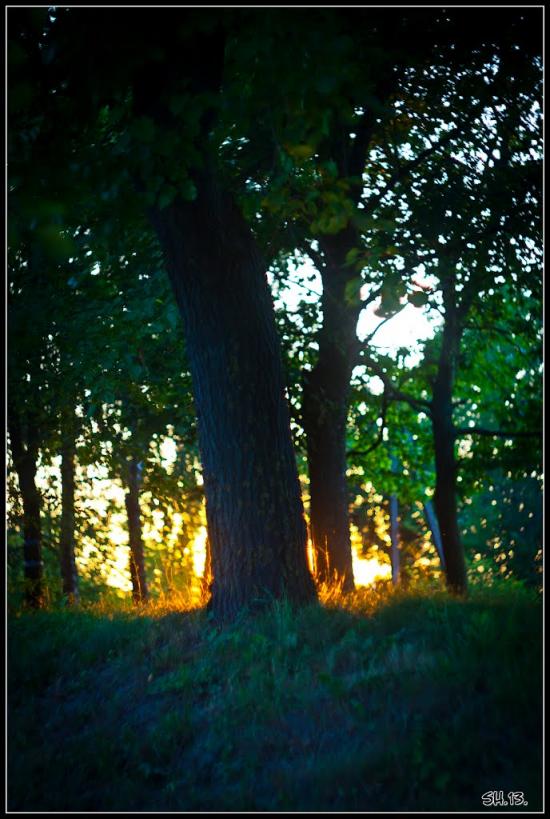 Колоденка з panoramio.com - Колоденка