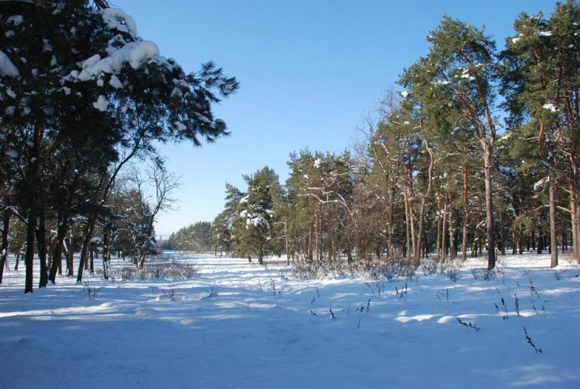 Миколаїв з panoramio.com (ч.4) - Николаев