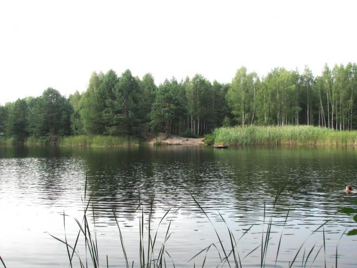 Стригани з panoramio.com - Стриганы
