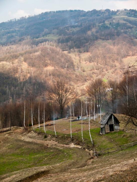 Широкий Луг з panoramio.com - Широкий Луг