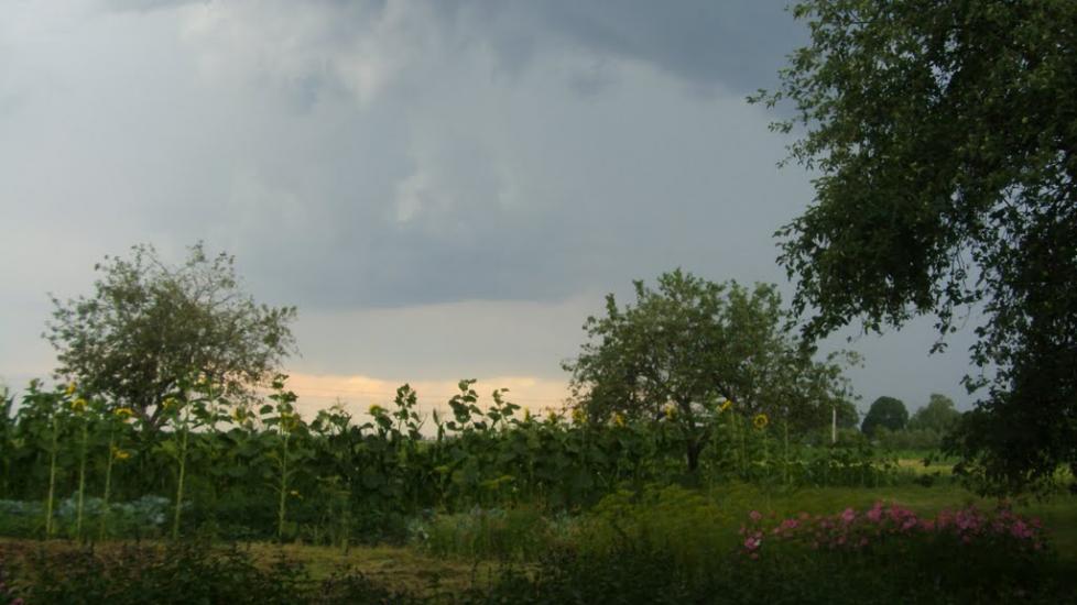 Машеве з panoramio.com - Машево