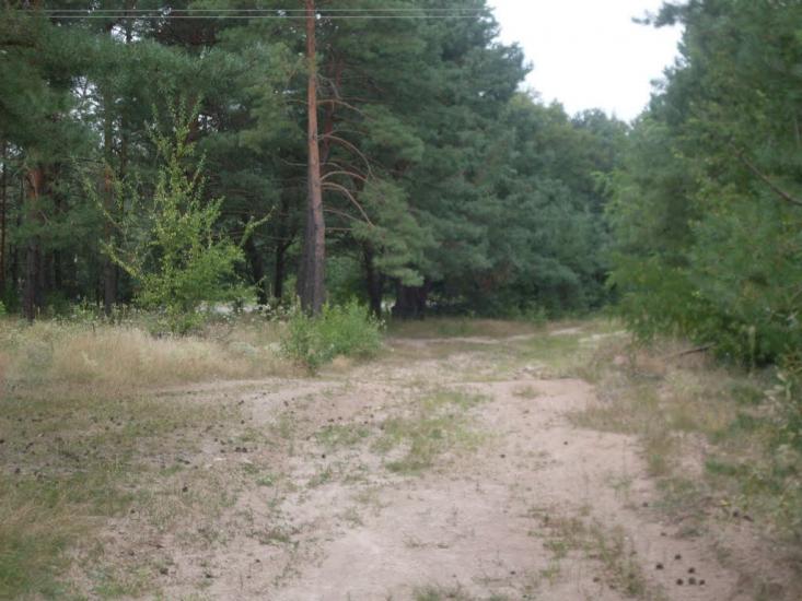 Гунча з panoramio.com - Гунча