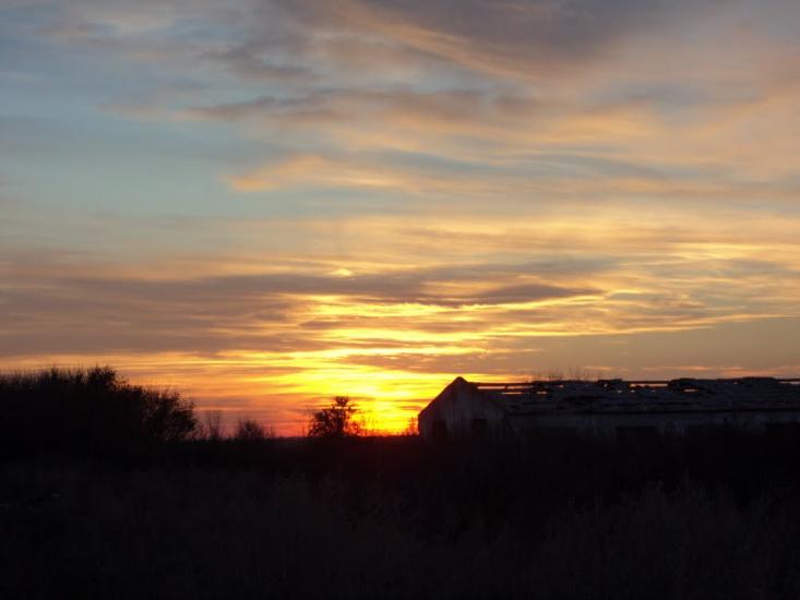 Дачне з panoramio.com - Дачне