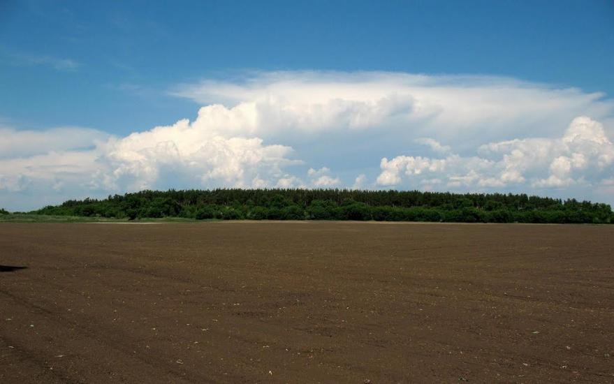 Олександрівка з panoramio.com - Олександрівка