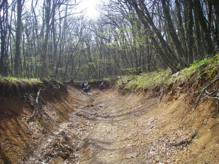 Лісне з panoramio.com - Лісне