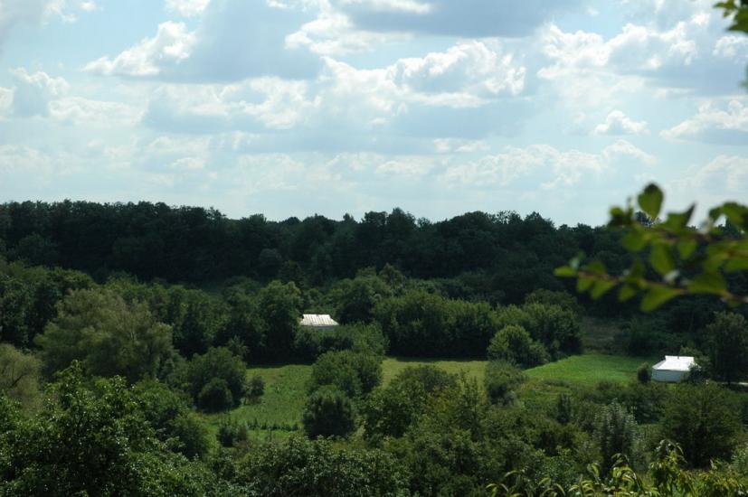 Моринці з panoramio.com - Moryntsi