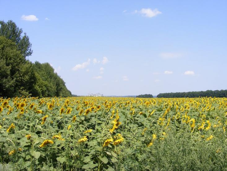Калинівка з panoramio.com - Калиновка