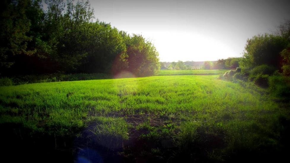 Аджамка з panoramio.com - Аджамка