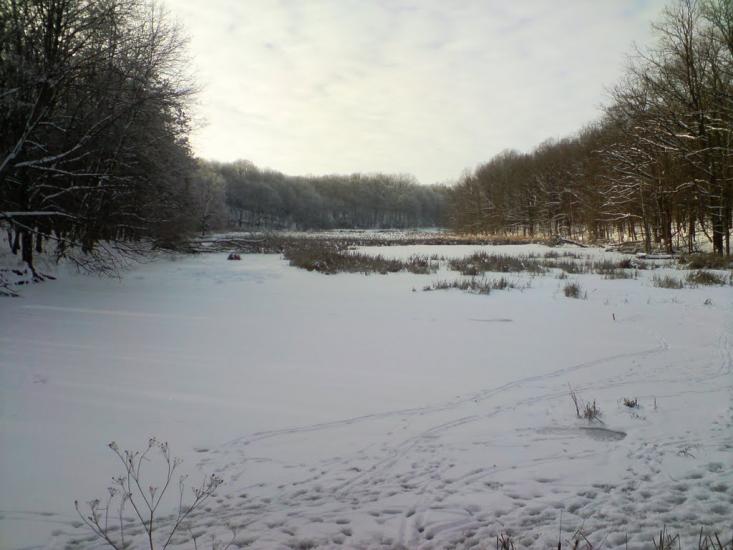 Кардашівка з panoramio.com - Кардашовка