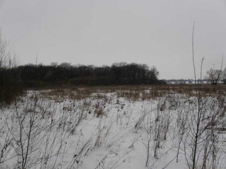 Заріг з panoramio.com - Зарог