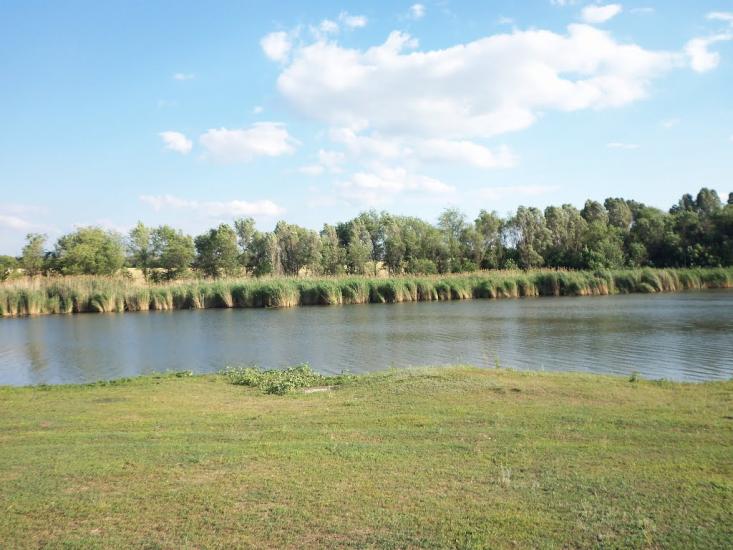 Новогупалівка з panoramio.com - Новогупалівка