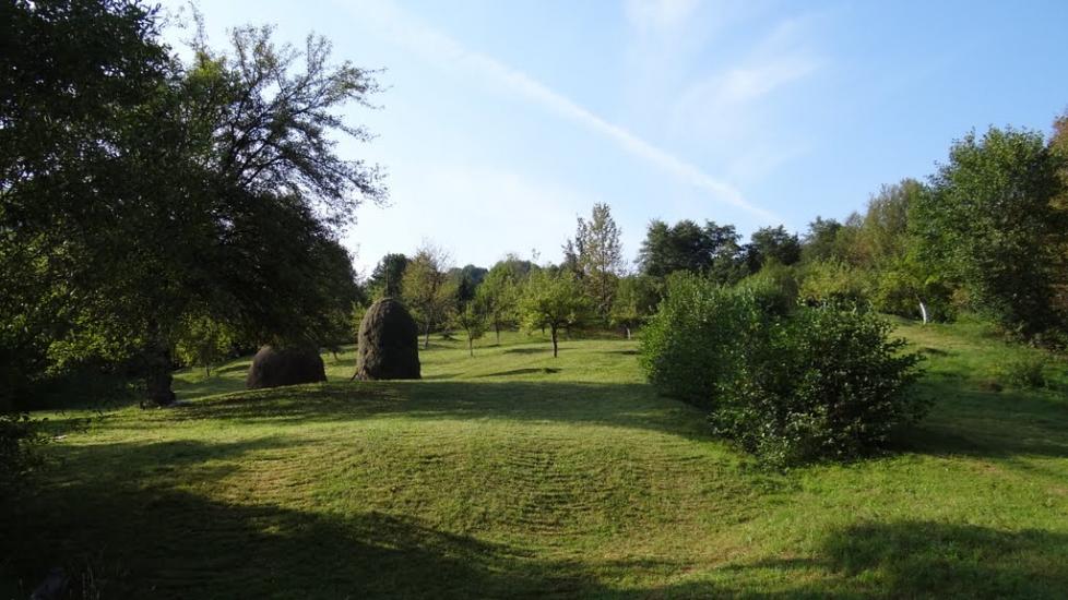 Луг з panoramio.com - Луг
