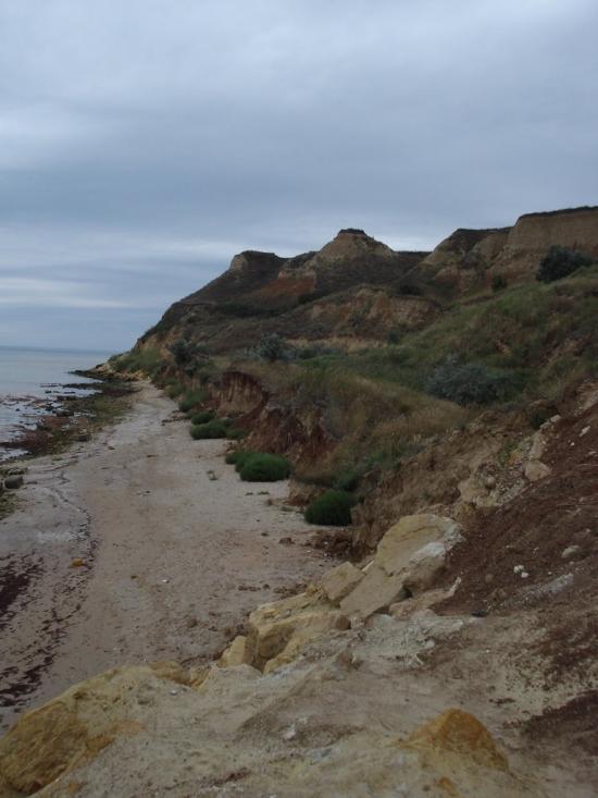 Григорівка з panoramio.com - Григоровка
