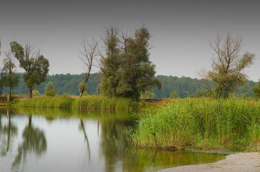 Вознесенське з panoramio.com - Вознесенське