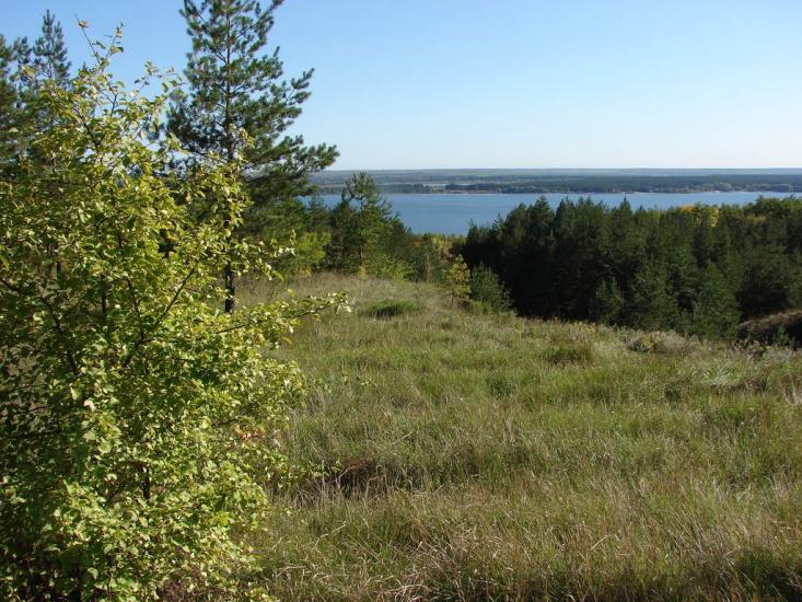 Борова з panoramio.com - Борова