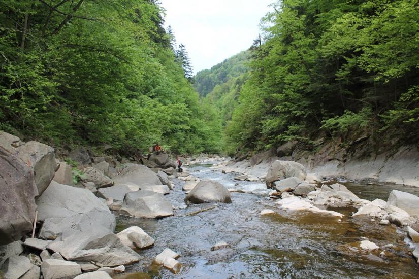 Буківцьово з panoramio.com - Буковцево