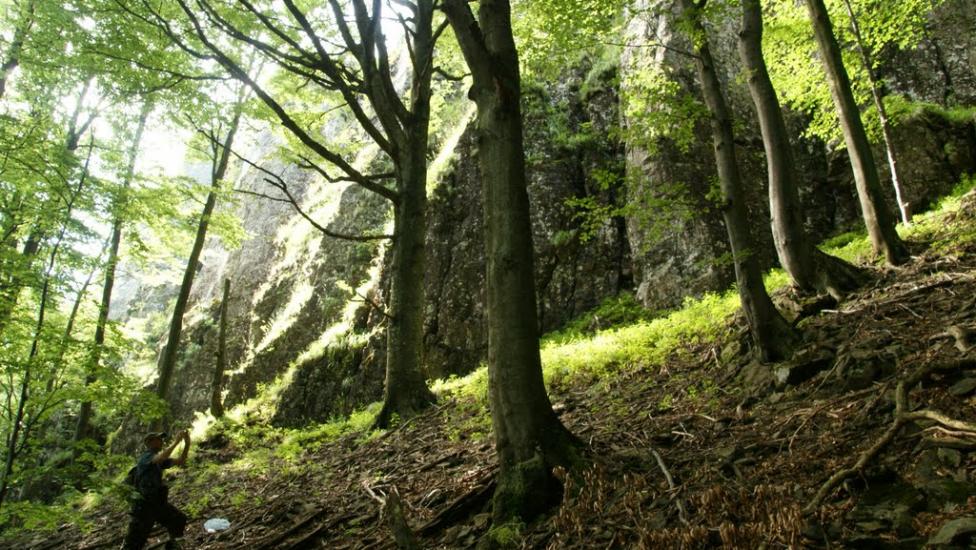 Синяк з panoramio.com - Синяк