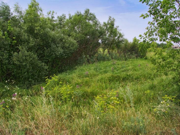 Дмитрівка з panoramio.com - Дмитровка
