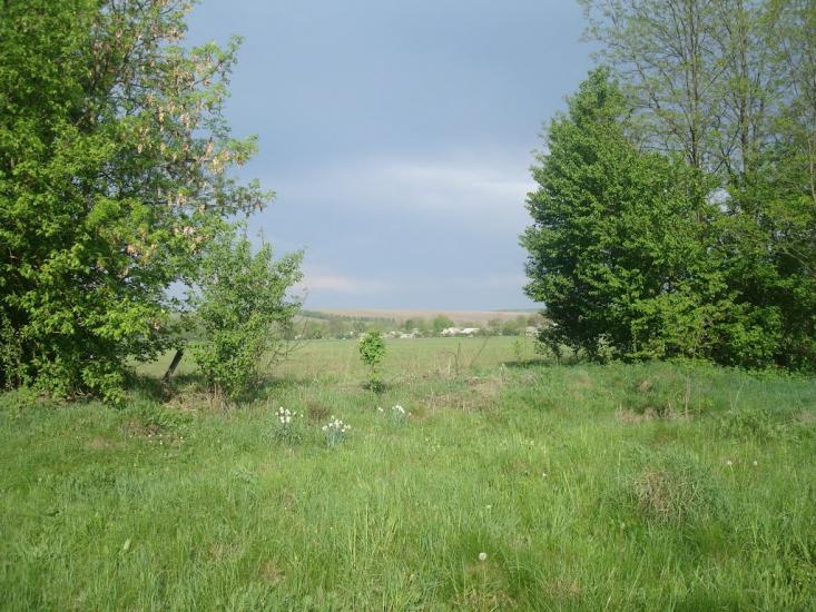 Рудка з panoramio.com - Рудка