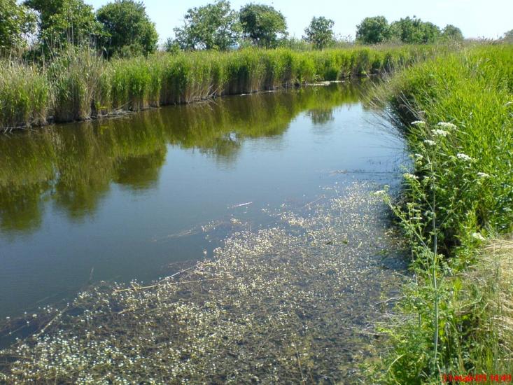 Маяки з panoramio.com - Маяки