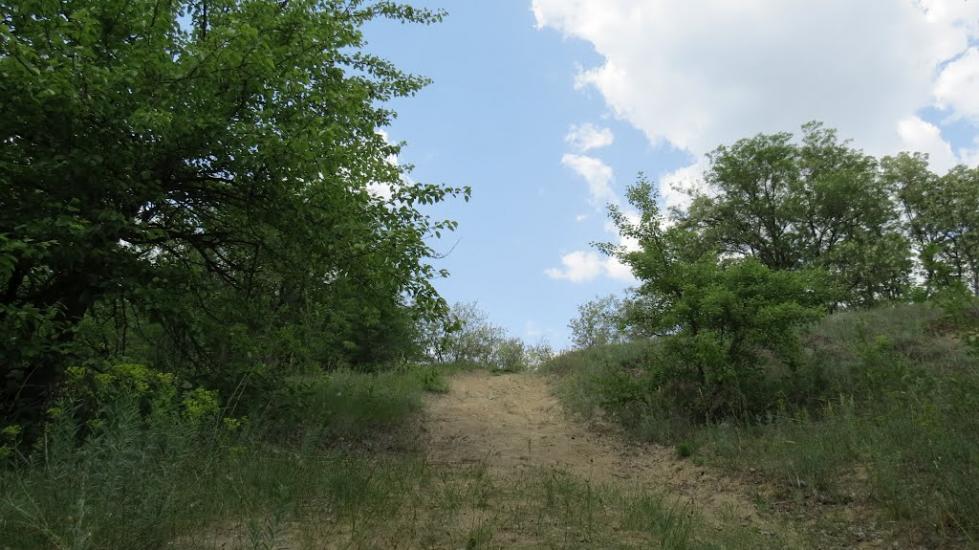 Військове з panoramio.com - Військове