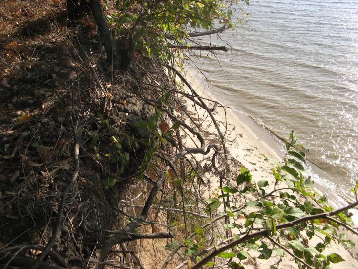 Червонодніпровка з panoramio.com - Червоноднепровка