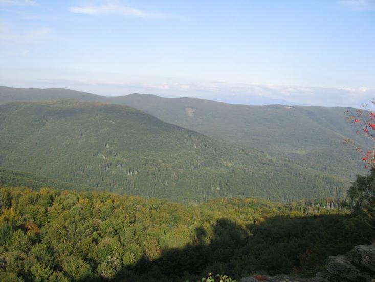 Синяк з panoramio.com - Синяк