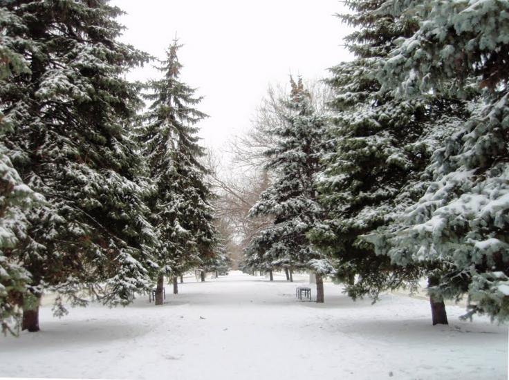 Пологи з panoramio.com - Pology