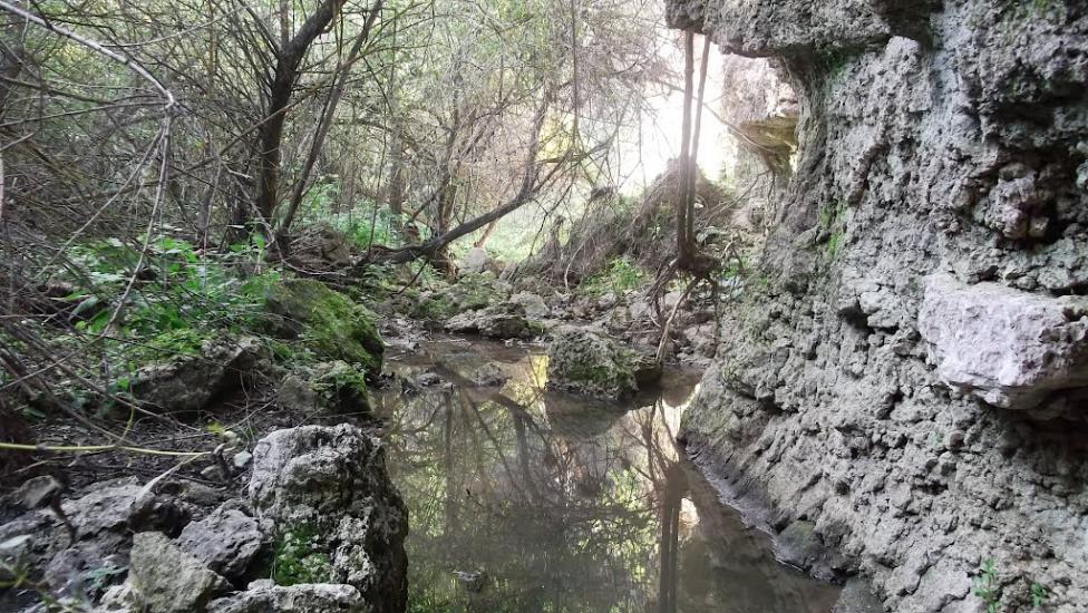 Блищанівка з panoramio.com - Блещановка