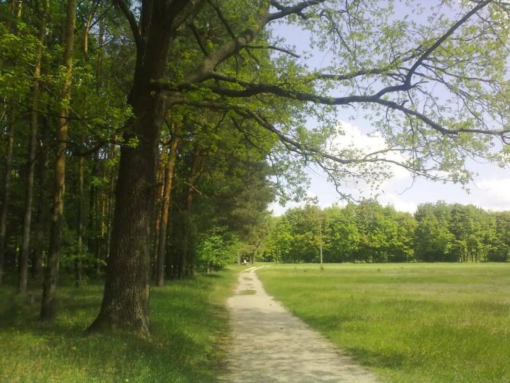 Нова Борова з panoramio.com - Новая Боровая