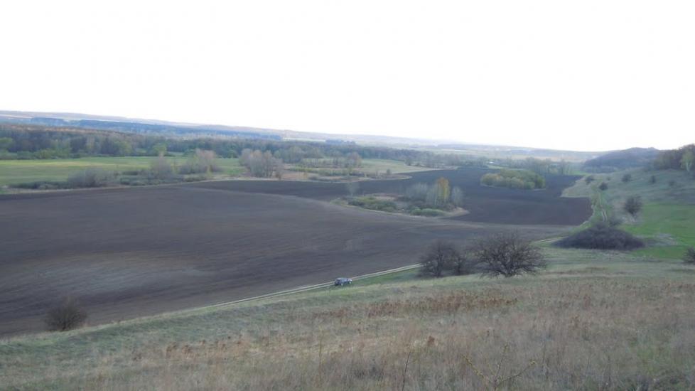 Велика Рибиця з panoramio.com - Великая Рыбица