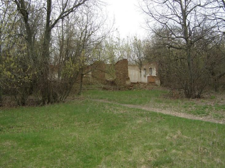 Червоний Кут з panoramio.com - Червоний Кут