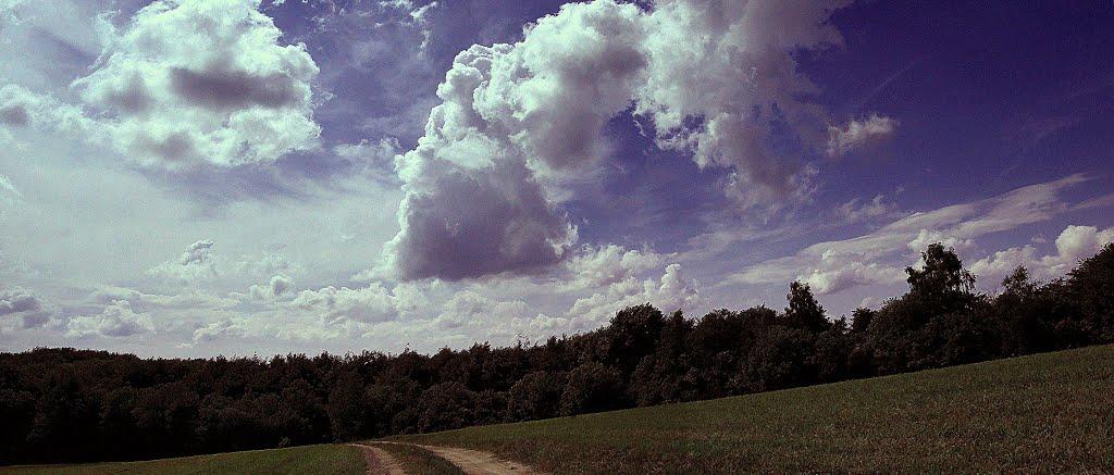 Забрідь з panoramio.com - Забродь