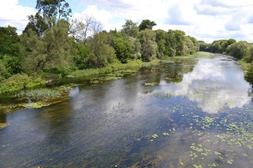 Селезнівка з panoramio.com - Селезневка