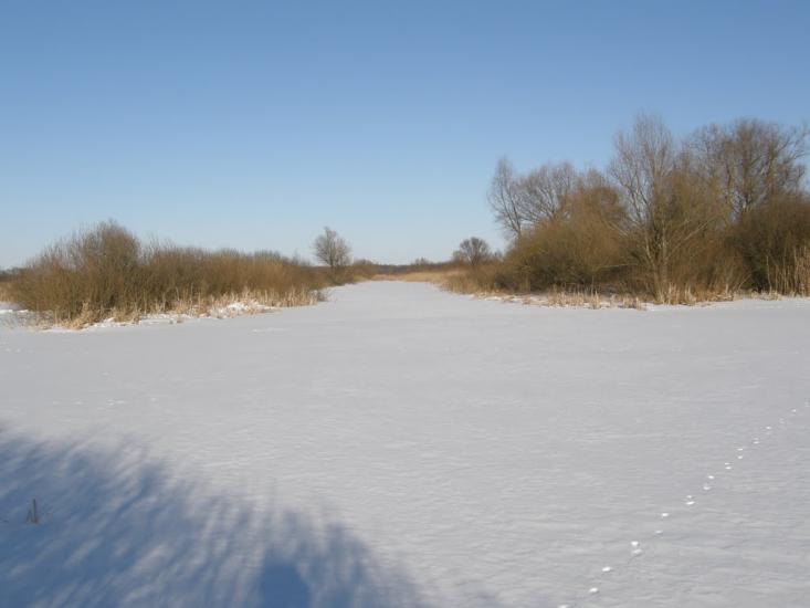 Оржиця з panoramio.com - Orzhytsya