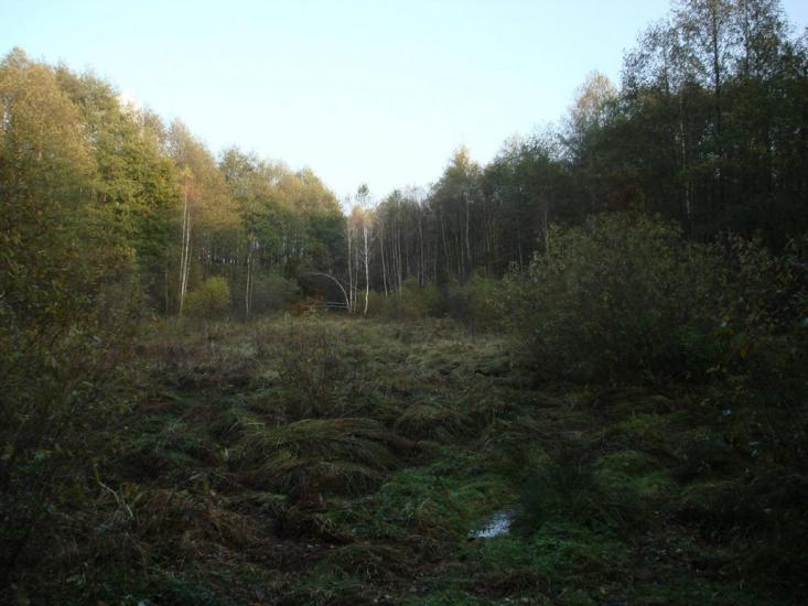 Хрипськ з panoramio.com - Хрипск