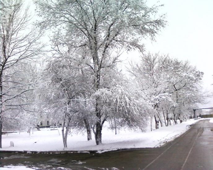 Михайлівка з panoramio.com - Михайловка