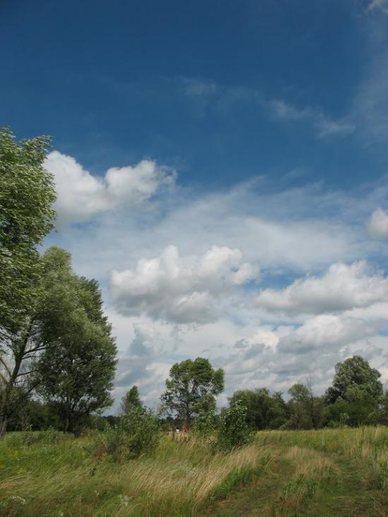 Проців з panoramio.com - Protsiv