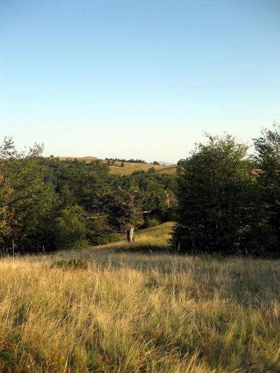 Запереділля з panoramio.com - Запереділля