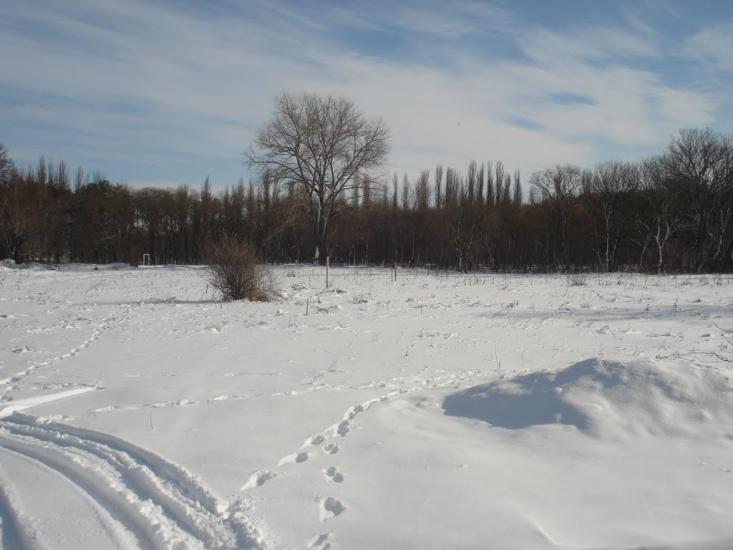 Біляївка з panoramio.com - Беляевка