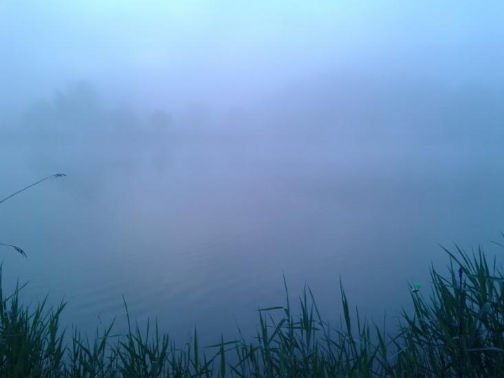 Сорокодуби з panoramio.com - Сорокодубы